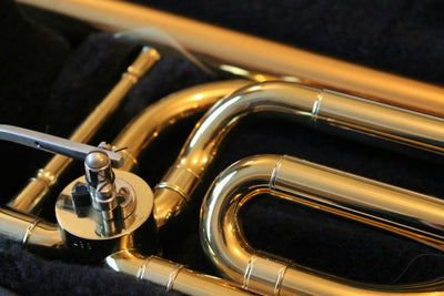 French Horn Faculty