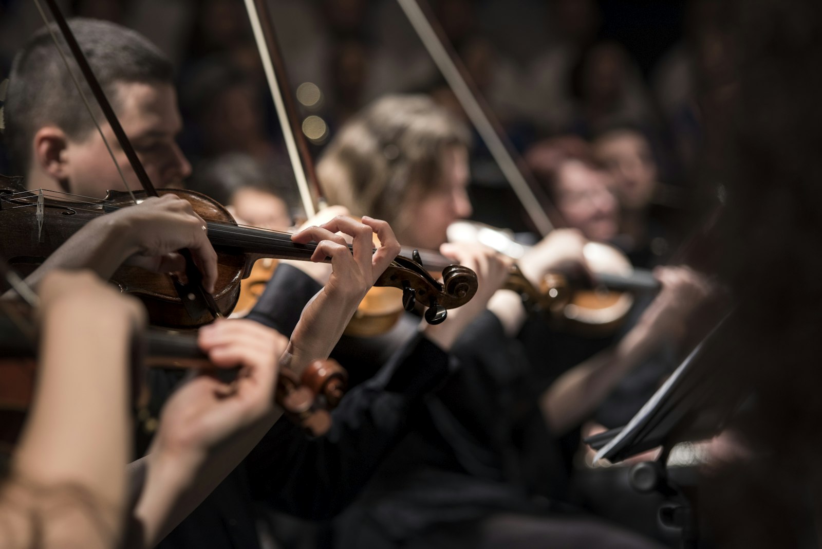 Cello Faculty — The Global Conservatory