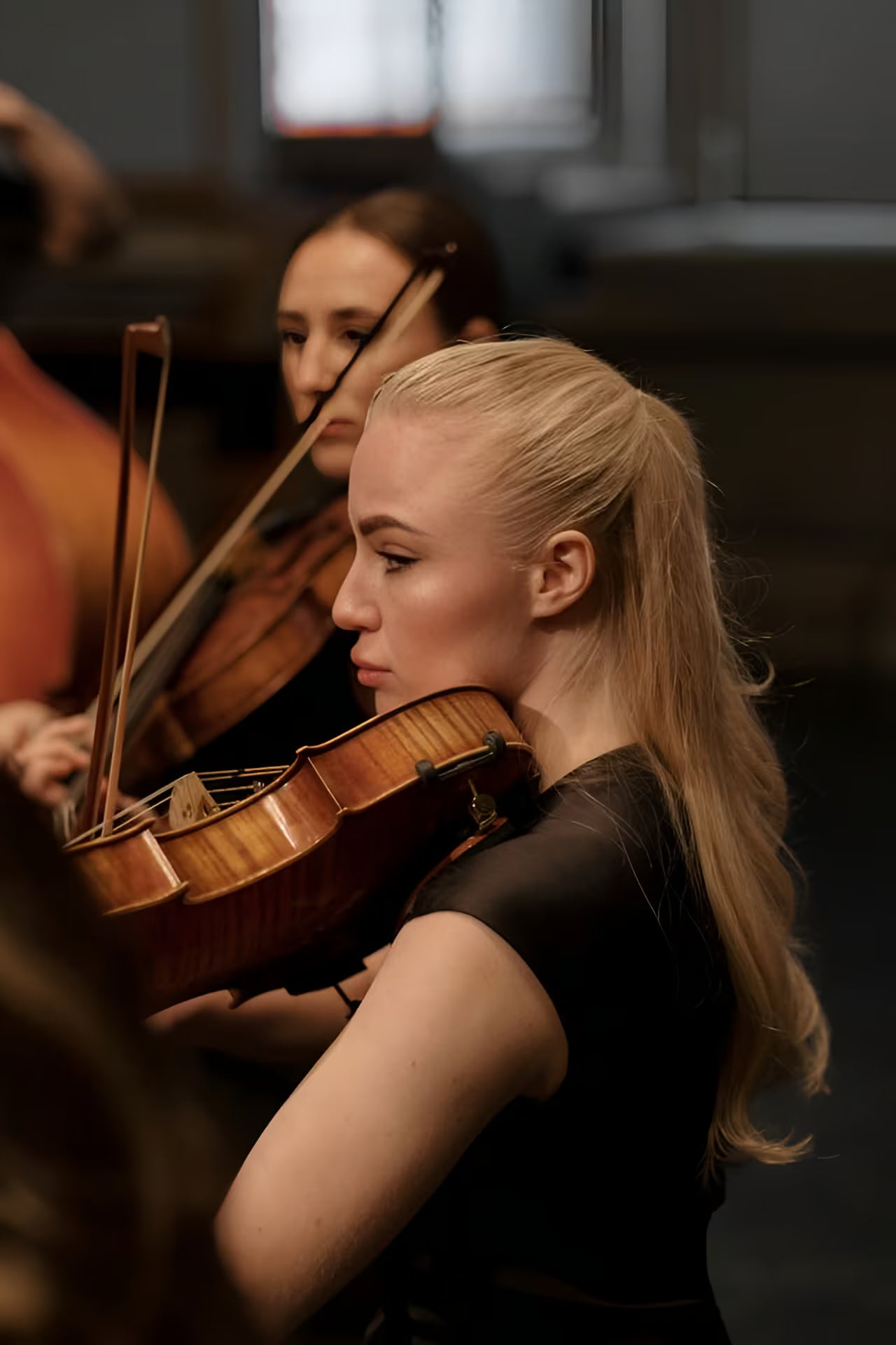 Collaborative Touring Units - The Global Conservatory